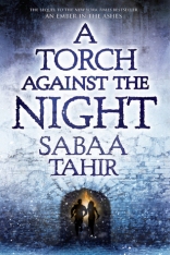torch-against-night