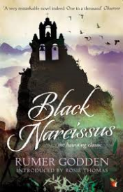 black narcissus